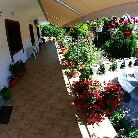 David Guesthouse,apartments Albania Check-in Holidays شقة فندقية كساميل